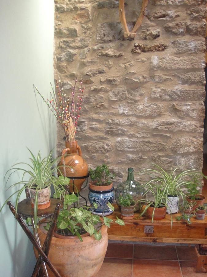 Casa Folch Affittacamere Castellfort Esterno foto